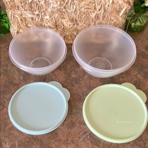 Tupperware Wonderlier Two Piece Bowl Set With Lids
